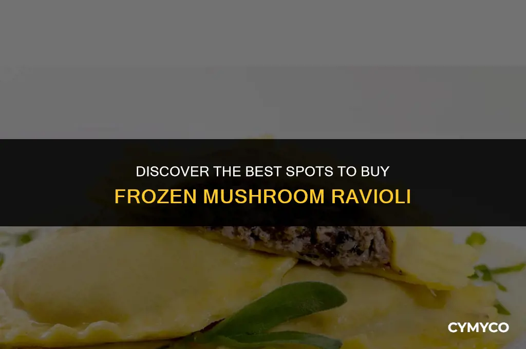 where to buy frozen mushroom ravioli