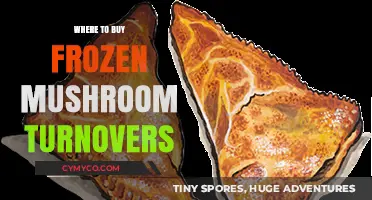 Discover the Best Places to Buy Frozen Mushroom Turnovers