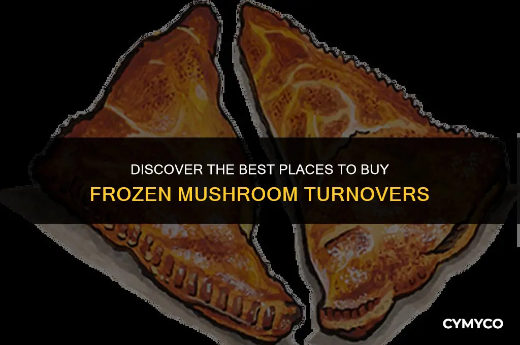 where to buy frozen mushroom turnovers