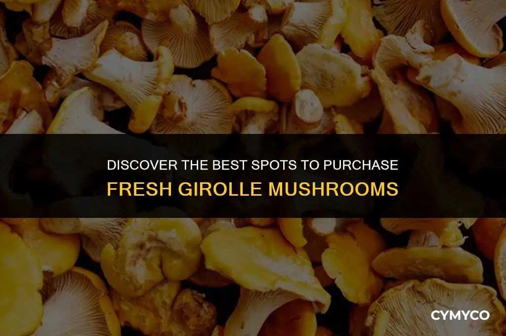 where to buy girolle mushrooms