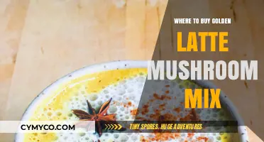 Golden Latte Mushroom Mix: Your Ultimate Guide to the Best Sources