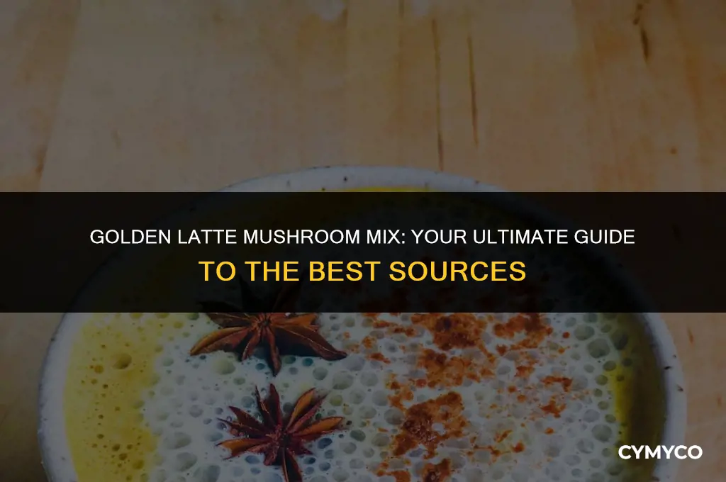 where to buy golden latte mushroom mix