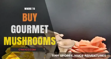 Exploring the Best Sources for Gourmet Mushrooms: A Comprehensive Guide