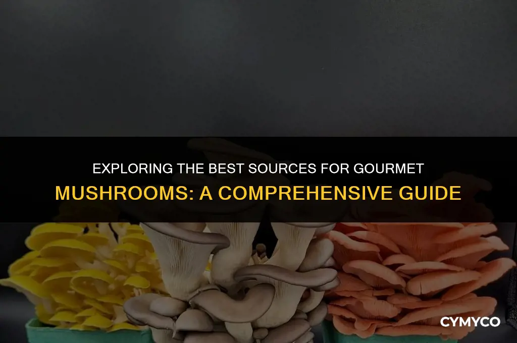 where to buy gourmet mushrooms