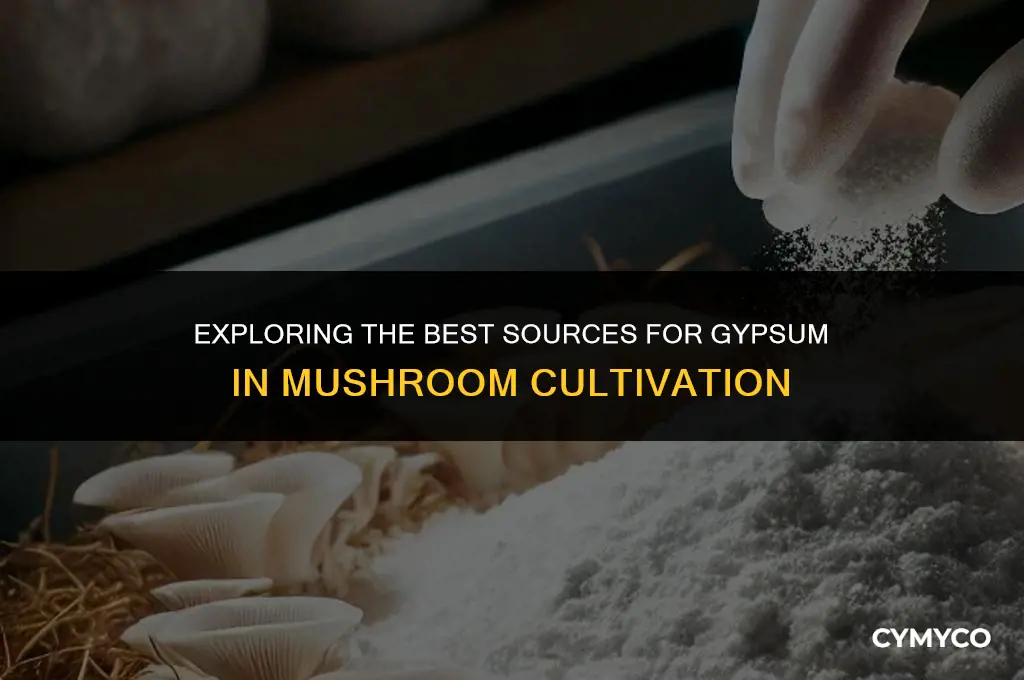 where to buy gypsum for mushrooms