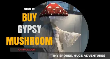 Exploring the Best Sources for Gypsy Mushrooms: A Comprehensive Guide