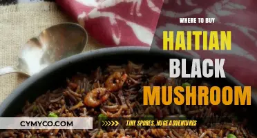 Exploring the Best Sources for Authentic Haitian Black Mushrooms
