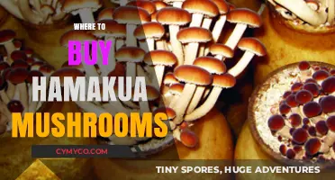 Discover the Best Spots to Buy Fresh Hamakua Mushrooms Locally
