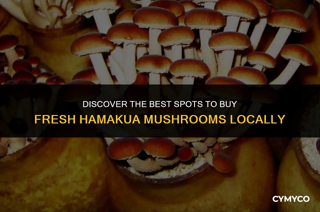 where to buy hamakua mushrooms