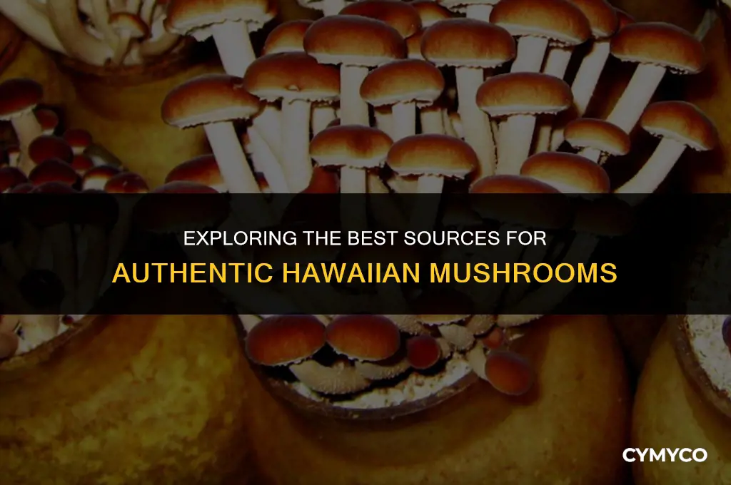 where to buy hawaiian mushrooms
