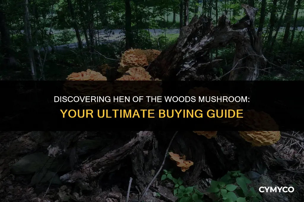 where to buy hen of the woods mushroom