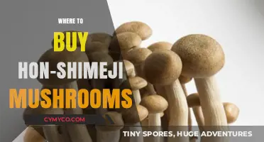 Discover the Best Spots to Purchase Fresh Hon-Shimeji Mushrooms