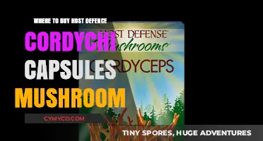 Exploring the Best Sources for Host Defense Cordyceps Capsules
