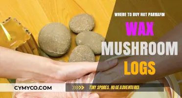Discover the Best Sources for Hot Paraffin Wax Mushroom Logs
