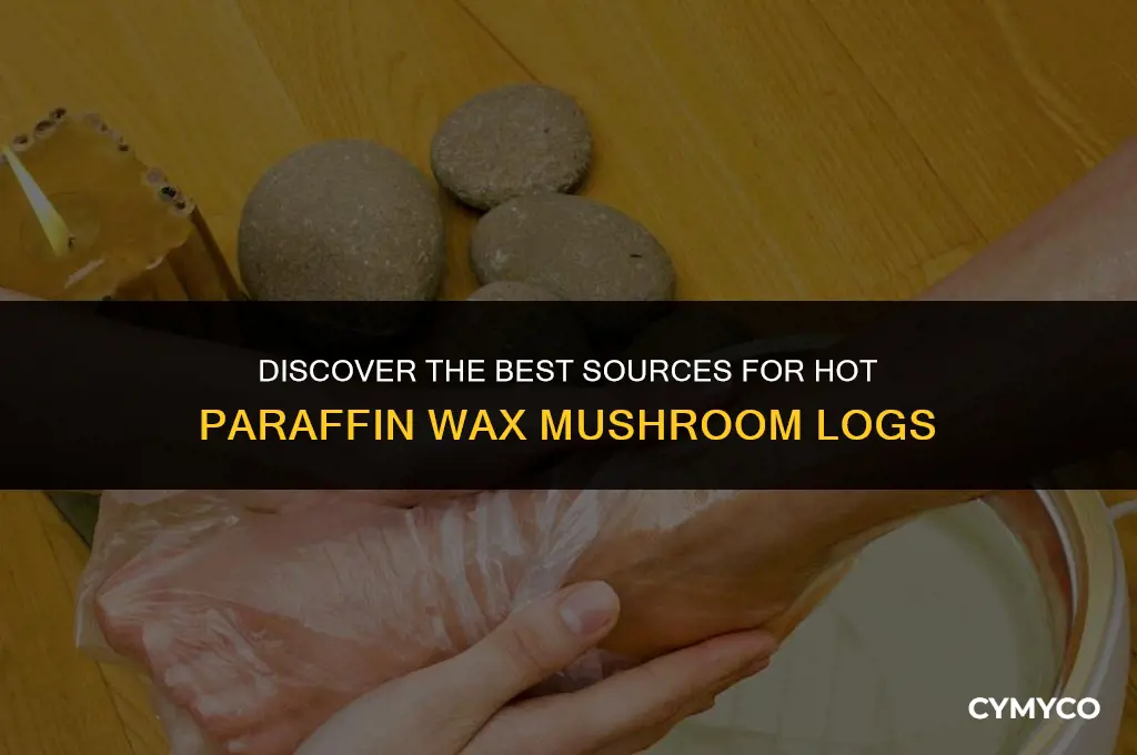 where to buy hot parrafin wax mushroom logs