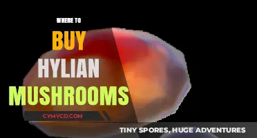 Discover the Best Spots to Purchase Hylian Mushrooms: A Comprehensive Guide