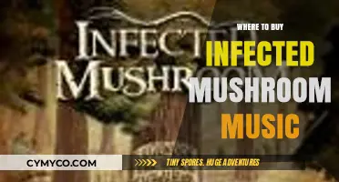 Exploring the Best Sources for Infected Mushroom's Music Online