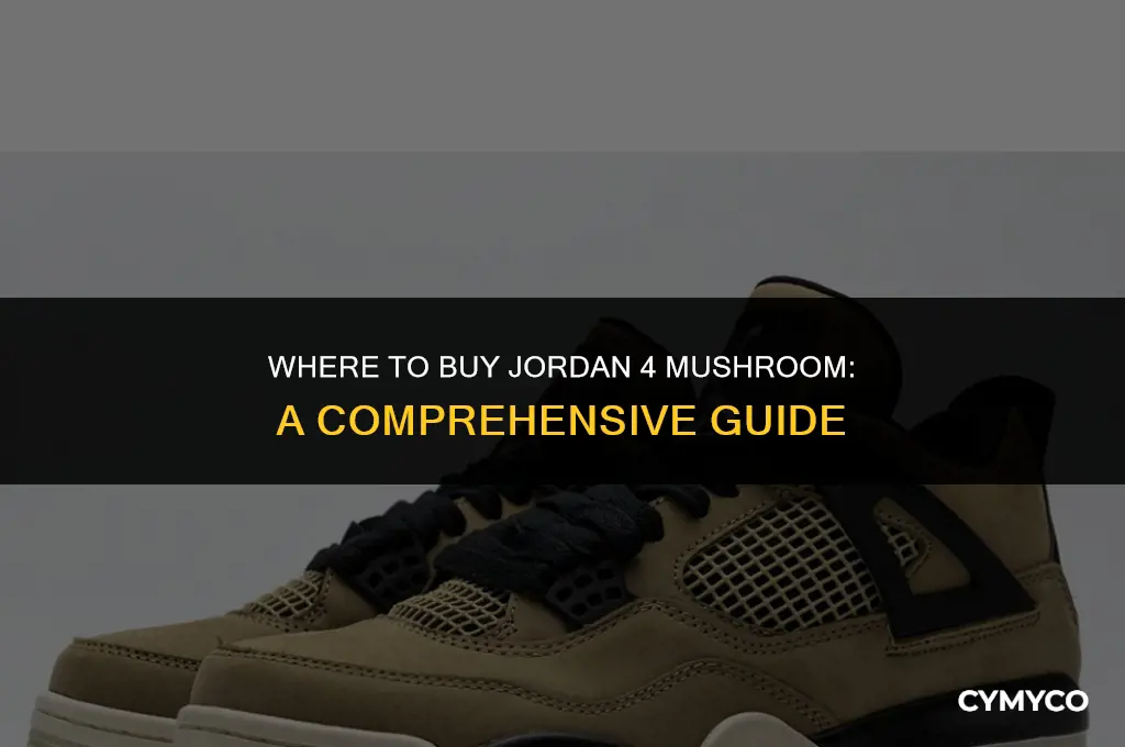 where to buy jordan 4 mushroom