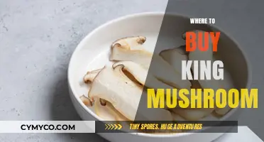 Exploring the Best Sources for King Mushrooms: A Comprehensive Guide