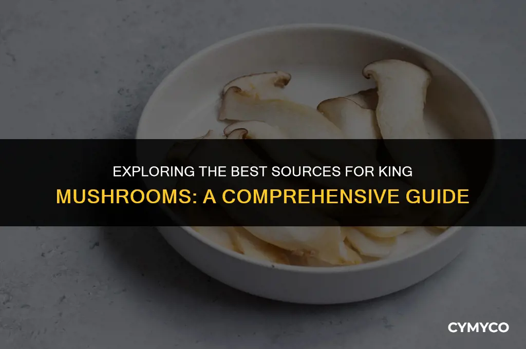 where to buy king mushrooms