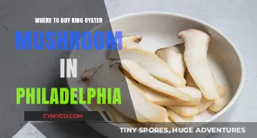 Discover the Best Spots to Buy King Oyster Mushrooms in Philadelphia