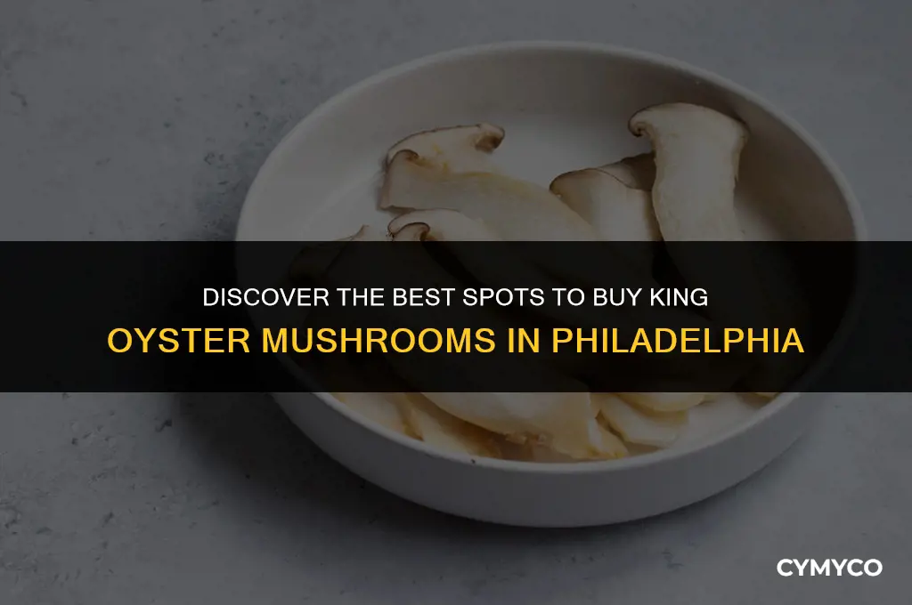 where to buy king oyster mushroom in philadelphia
