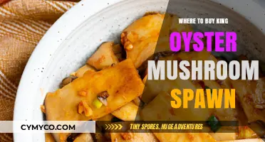 Where to Buy King Oyster Mushroom Spawn: A Comprehensive Guide
