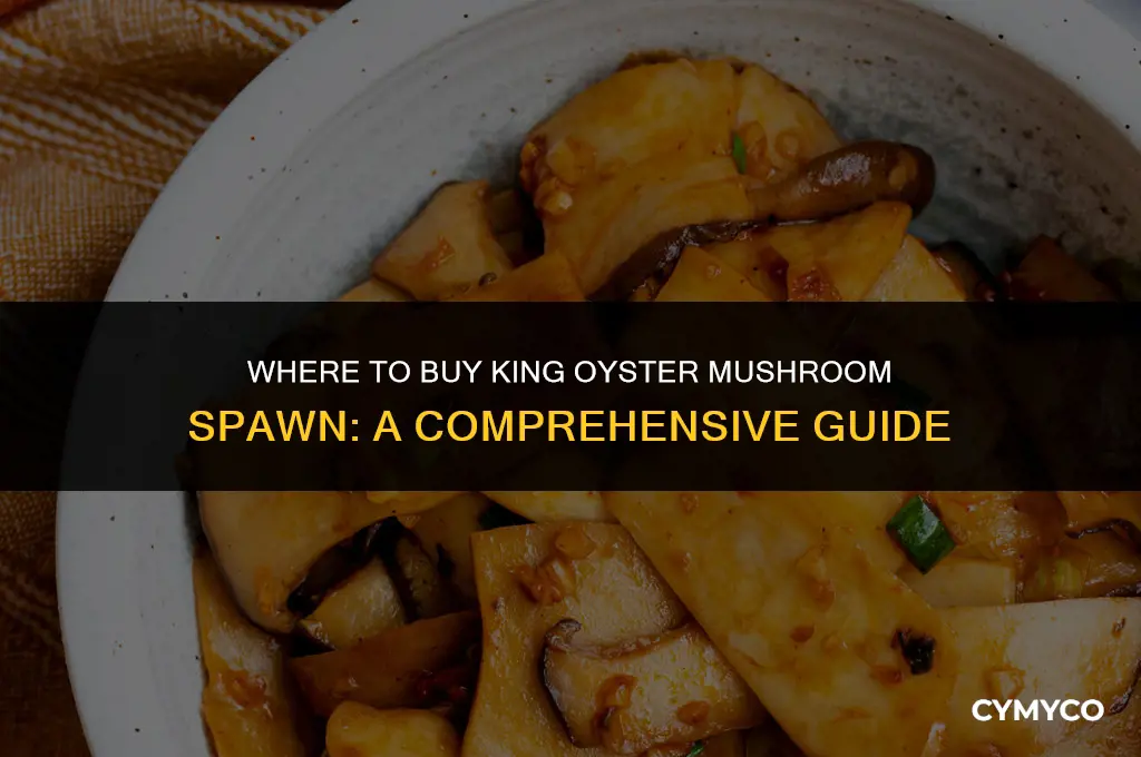 where to buy king oyster mushroom spawn