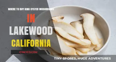 Discover the Best Spots for King Oyster Mushrooms in Lakewood, CA
