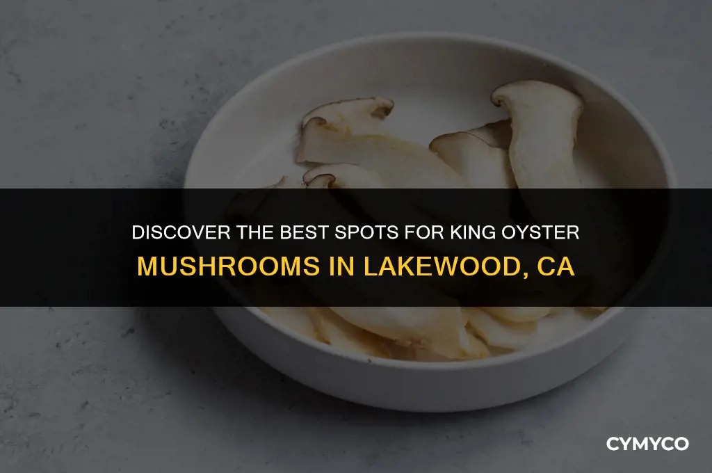 where to buy king oyster mushrooms in lakewood california