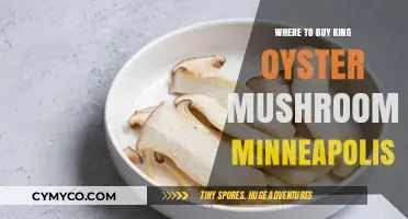Discover the Best Spots to Buy King Oyster Mushrooms in Minneapolis