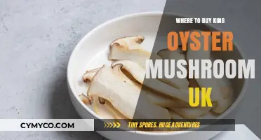 Discover the Best Spots to Buy King Oyster Mushrooms in the UK