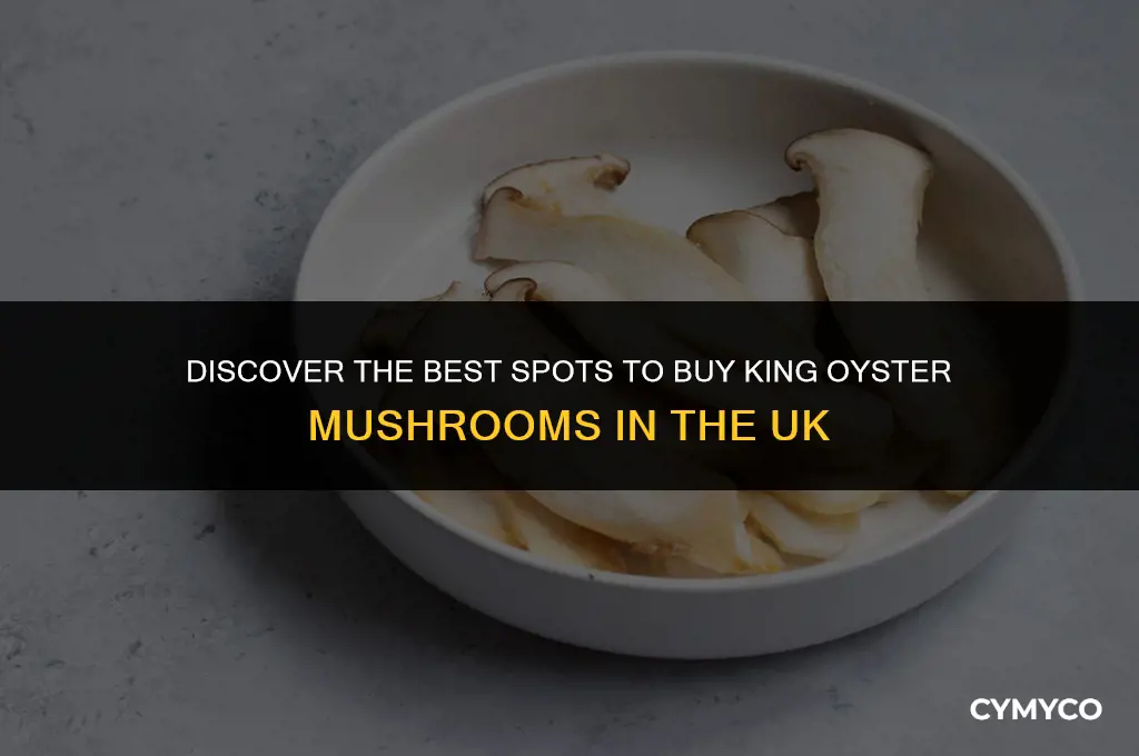 where to buy king oyster mushrooms uk