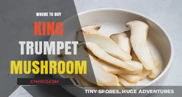 Discover the Best Sources for King Trumpet Mushrooms Online
