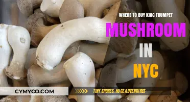 Discover the Best Spots to Buy King Trumpet Mushrooms in NYC
