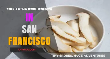 Discover the Best Spots to Buy King Trumpet Mushrooms in San Francisco