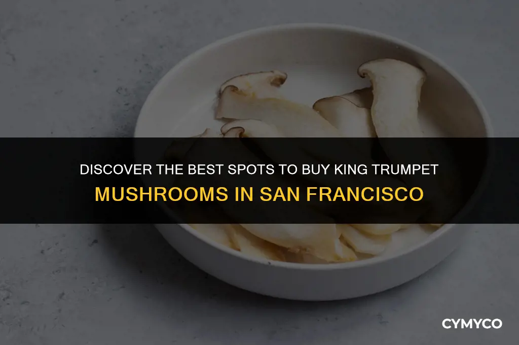 where to buy king trumpet mushrooms in san francisco