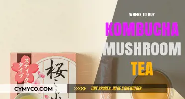 Exploring the Best Sources for Kombucha Mushroom Tea Online