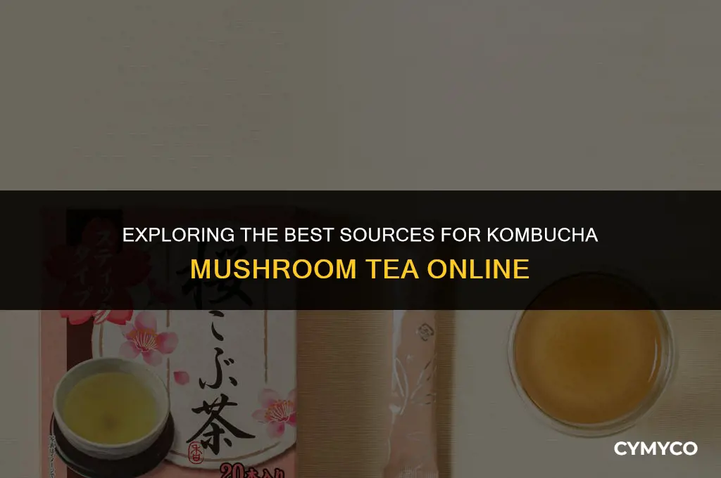 where to buy kombucha mushroom tea