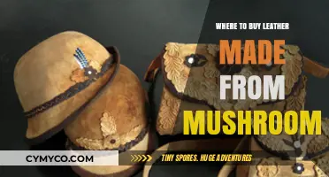 Exploring Sustainable Fashion: Where to Find Mushroom Leather Goods