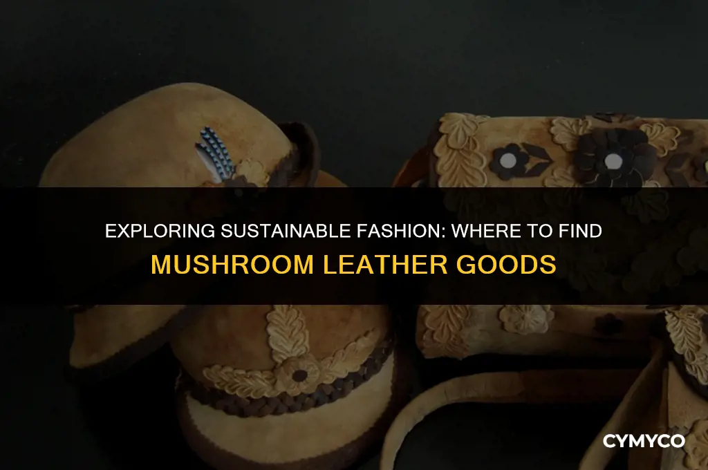where to buy leather made from mushrooms