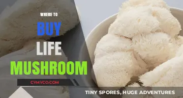 Exploring the Best Sources for Life-Enhancing Mushrooms: A Comprehensive Guide