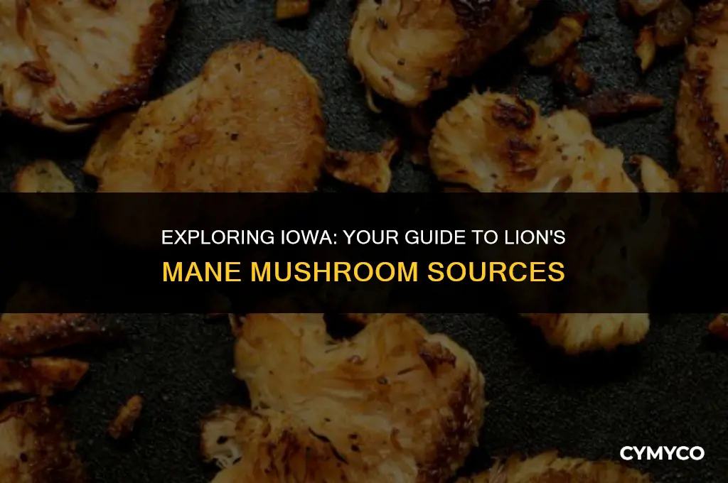 where to buy lion mane mushrooms iowa