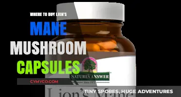 Exploring the Best Sources for Lion's Mane Mushroom Capsules