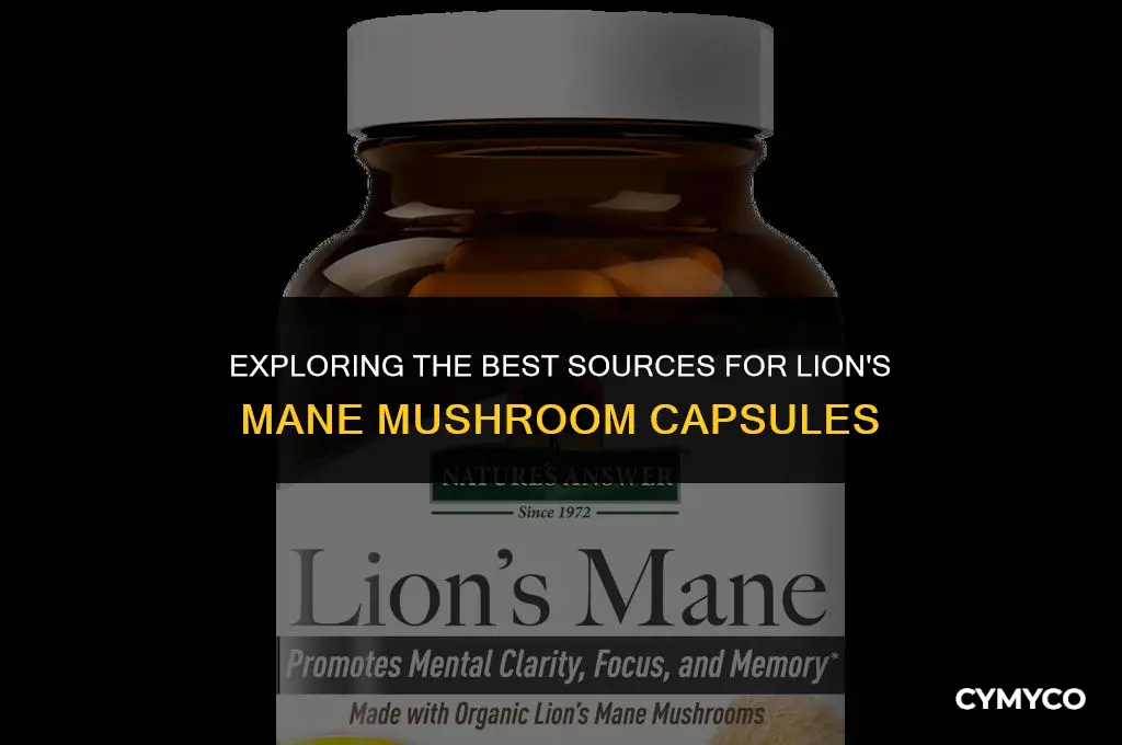 where to buy lion