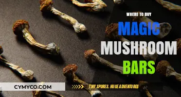 Exploring the Best Sources for Magic Mushroom Edibles Online