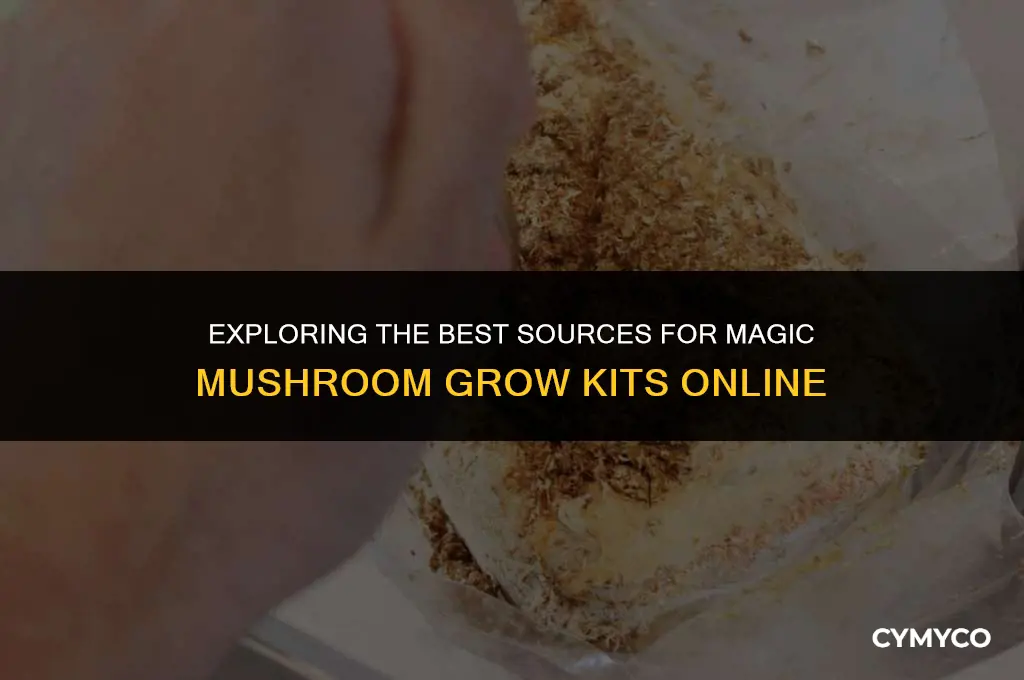 where to buy magic mushroom grow kits