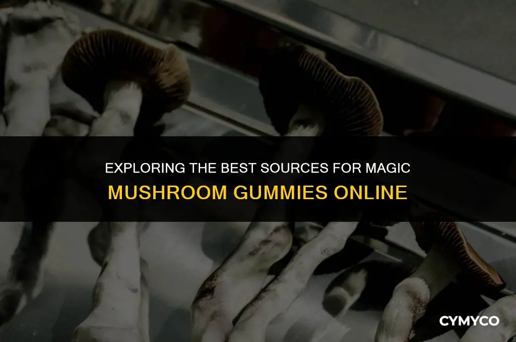 where to buy magic mushroom gummies