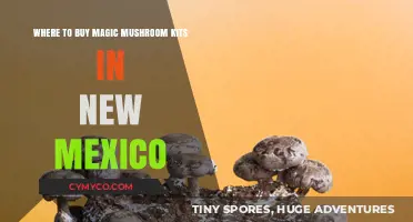 Exploring the Enchantment: Where to Find Magic Mushroom Kits in New Mexico
