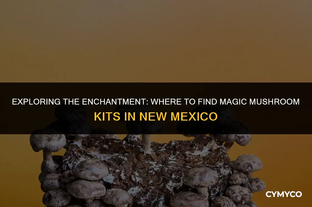 where to buy magic mushroom kits in new mexico